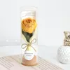 Decoratieve Bloemen Eeuwige Roos Voor Moeder Vriendinnen Valentijnsdag Geconserveerd Echt Met Licht Jubileum Bruiloft Bthday Romantisch Cadeau