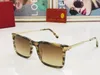 Realfine888 5A Eyewear Catier CT0384S Square Frame Luxury Designer Sunglasses For Man Woman With Glasses Cloth Box