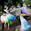 High Low Colorful Wedding Dresses Bride Gown 2022 Tulle A Line Halter Train Lace Up Corset Short Rainbow country Bridal Gowns vest2624