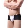 Caleçon homme Boxer culotte mince Sexy résille slips Nylon taille basse personnalisé respirant sous-vêtement confortable 2023