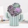 Les bouteilles de stockage peuvent être utilisées comme vase/porte-stylo bureau Cactus Pot de fleur décoration de mariage incassable stylo créatif maison