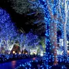 Selling Black line 100M 480 LED Lights Party Lamp Led Christmas Lights Outdoor Decoration Party Twinkle String Light 220V EU295h