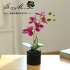 Декоративные цветы цементный горшок пять цветочных фильмов Phalaenopsis bonsai Творческий крытый