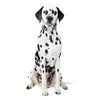 Personlig husdjurskrage vit svart kub cool hållbar anpassad valpnamn ID -tagg justerbar grundläggande hundkrage koppel l230620