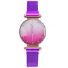 Hela mode Simple Dial Women Wristwatches Quartz Glossy Mesh Strap Goddess Watches Trend Magnet Buckle Ladies Watch2080