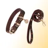 Fashion Designer Dog Collars Freashes set morbido Stampato regolabile in pelle classica set di guinzaglio per pet collare per animali