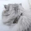 Personlig hundkrage lasergraverad modekrage för små hundar Katter Valpar med ID -taggar Kvinnliga hundförsörjningar PET -produkter L230620