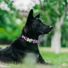 Etiqueta de identificación de nombre grabada gratis personalizada, Collar de perro Unisex a cuadros de nailon ajustable, Collar de perro personalizado, Collar de perro pequeño y grande L230620