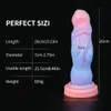 Jouets anaux jouets anaux lumineux mignon plug anal doux masturbateur féminin jouets sexuels pour les femmes sensation de peau plug anal godes anaux en silicone 230728