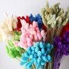 Fleurs décoratives 50pcs Naturel Séché Fleur Gem Bijoux Herbe Phalaris Décoration De Mariage Conservé Bouquet Artificiel Boho Chambre Hoom Décor