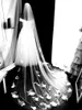 Свадебные вуали романтическая однослойная белая или слоновая часовня Свадебная тюль-завеса для невесты и цветов мм