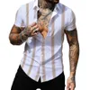 Herrenhemden, hawaiianisches Herrenhemd, Sommermode, gestreift, sexy bedruckte Hemden für Männer, lässiges T-Shirt, Herrenbekleidung, übergroße Camisa-Oberteile 230728