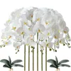 Decorative Flowers Wreaths 32 Inch Artificial Phalaenopsis Flowers 9 Heads Artificial Orchid Butterfly Flowers Stem Plants for Home Decor 6PCS 230728