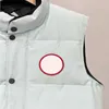 Piumini firmati Tasca giacche NFC di alta qualità Parka da donna senza maniche Piumino con cerniera Distintivi con cerniera Cappotto casual da uomo Gilet d'oca