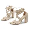 Dress Shoes 2023 Summer Fashion All-match Trend Bandage Fairy Models Thick Heel High Sandals French Open Toe Plus Size