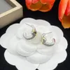 Diamond oorbellen Studontwerpers voor vrouw luxe sieraden 925 Silver Earring Fashion Gifts Designer Accessoires Groothandel