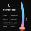 Anal Toys Super Long Plug Lumineux Gode Anal Coloré Godes Dragon Glowin pour Femmes Sex Toys Soft Buttplug avec Ventouse Butt Plug 230728