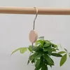 Hangers Wood Sturdy Durable Ring Hat Clip Creative Clothing Store Hook Wholesale Circle Scarf Rack Home Storage Wooden S-shaped