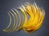 Baits Lures Hand Selected Golden Pheasant Crest Feathers Natural Fly tying material; Available In 4 Sizes 230728