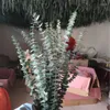 Kwiaty dekoracyjne 17 szt. Niebieski wysuszony zachowany eukaliptus łodygi prawdziwy wiszący naturalny liść zieleni do wazonu wypełniacz domowy dekoracje kwiatów spa