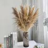 Decorative Flowers Wreaths 80140cm Pampas Grass Large Natural White Grey Dried Flower Bouquet Fluffy for Boho Vintage Home Wedding Flower Decoration 230728