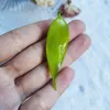 Decorative Flowers Resin Leaf Bamboo Leaves Shape Hairpin DIY Handmade Jewelry Hair Ornament Earring Accessories Material 2pcs