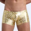 Caleçon Sexy Hommes Boxers Culotte Brillante À L'huile Lisse Maillot De Bain Taille Basse Sans Soudure Culotte À Séchage Rapide Élasticité De Natation Bikini Sous-Vêtements