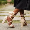 Dress Shoes 2023 Summer Fashion All-match Trend Bandage Fairy Models Thick Heel High Sandals French Open Toe Plus Size