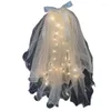 Brudslöjor lyser upp slöjan för brud LED med kronor Elegant och Pretty Wedding Party Hair Accessories Women 2023