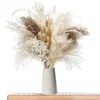 Dekorativa blommor 80st Modern Pampas gräs torkad bukett boho heminredning naturlig fluffig pompas för bröllop sovrum blommor arrangemang