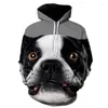 Herrtröjor 2023 Pet Dog 3D Print Hoodie Unisex Lång ärm Sweatshirt Spring Pullover Sports Suit Harajuku Topps Mänkläder