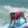 Vestuário para cães Colete salva-vidas de verão impresso para animais de estimação Roupas de segurança para cães Roupa de banho para animais de estimação Traje de natação de segurança 230729