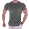 Ternos masculinos A2260 Camiseta de ginástica masculina de manga curta casual em branco slim T-shirt masculina de fitness musculação Workout Tee Tops roupas de verão