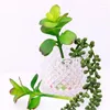 Decorative Flowers Simulated Succulent Plant Purple Crescent Moon Ornamental Bonsai Color Artificial Potted