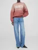 Bings 1fleece gradient sweatshirt klassiek geprinte gewassen hoodie roerbak katoenen ontwerper sweaters