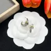 Diamond oorbellen Studontwerpers voor vrouw luxe sieraden 925 Silver Earring Fashion Gifts Designer Accessoires Groothandel