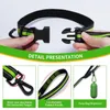 Hundhalsar Pet Cat Leash Running Midjebälte Reflekterande strip Elastic Walking Training Hands Free For Large Medium Dogs