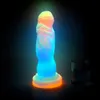 Jouets anaux jouets anaux lumineux mignon plug anal doux masturbateur féminin jouets sexuels pour les femmes sensation de peau plug anal godes anaux en silicone 230728