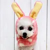 Dog Apparel 1pcs Hat For Small Headgear Double Layer Warm Polka Dot Ear Cap Pets Costume Accessories