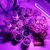 Grow Lights Phyto Lamp USB 5V LED -ljus full spektrum rödblå inomhus fytolamp för växter blommor plantor växthus