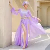 Abbigliamento da palcoscenico Abbigliamento professionale per abiti da danza del ventre per donna Folk Fairy Elegante abito da esibizione Muwashahat da corte