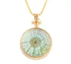 Colliers Pendentifs 2023 ! Médaillon 1PCS Naturel Plante Ronde Cristal Séché Bouteille Verre Collier Or Couleur Chaîne