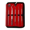 Ensembles d'outils à main professionnels 4 5 PCS Outils pour kit de grattoir à dents Dentifrices en acier inoxydable Dentiste Chercher Miroir Instruments292h