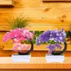 Dekorative Blumen, kleine gefälschte Schreibtischpflanzen, Bonsai-Baum, Fensterbank-Dekoration, Kunststoff-Ornament, Terrassentisch