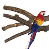 Autres fournitures pour oiseaux 4 pièces perroquet perche mâcher morsure jouets griffe meulage épineux bois formation support de jeu plate-forme Cage accessoires 230729