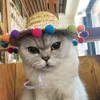 Chien vêtements chapeau de paille chapeau pour chapeaux chats Hundehut mexicain chiot fournitures Hawaii Style accessoires pour animaux de compagnie casquettes de mode