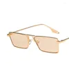 Sunglasses Metal Sun Glasses 2023 Est Ins Same Type Fashion