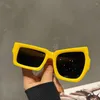 Lunettes de soleil 2023 Vintage sourcil-cueillette pour femmes hommes mode individualisée taille irrégulière Hip-hop