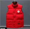 Gilet da uomo Inverno caldo da donna Freestyle Giù Moda casual Cappotto maschile Giacca femminile Hiver Mode Gilet Hommes Bodywarmer Veste Canada Usa Style Manteau Blac