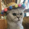Chien vêtements chapeau de paille chapeau pour chapeaux chats Hundehut mexicain chiot fournitures Hawaii Style accessoires pour animaux de compagnie casquettes de mode